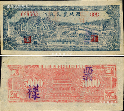 民國三十六年（1947年）西北農民銀行藍色牧羊圖伍仟圓，正票改作票樣，背面微有檔案揭薄痕跡，未折九成新