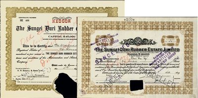 Sungei Duri橡膠種植園公司股票2種，詳分：1941年100股、1951年1000股，圖案不同；該公司注冊于香港，其股票曾在上海發(fā)行；注銷票，有缺損，六成新
