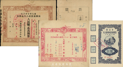 東北解放初期老股票4種，詳分：1951年旅大市甘井子區南關嶺供銷合作社股票，壹股計人民幣貳圓；1952年旅大市營城子區案山村供銷合作社股票，壹股計人民幣貳萬圓；1953年復縣第二區松樹街鎮長征果樹生產合作社股票陸股；1958年鞍山市社會福利事業集資股票伍圓；八至九成新