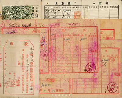 新中國(guó)初期山東老股票5枚，詳分：1949年膠東區(qū)黃縣林業(yè)合作社股票；1954年招遠(yuǎn)縣聯(lián)村供銷合作社股票；1954至55年膠東地區(qū)合作社股票3種；七至八成新，敬請(qǐng)預(yù)覽