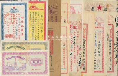 四川合作社等股票共13種，詳分：重慶市第二漁業生產合作社籌備委員會股票1951年一股計叁拾叁萬柒仟元；忠縣四區供銷合作社股票1952年壹股計叁萬元；官壩鄉供銷合作社股票1952年壹股計貳萬元2枚，其中1枚附存根；石柱縣西沱合作社股票1954年貳萬元；奉節縣城一區供銷合作社股票1952年壹股計叁元、貳股計陸元、1955年壹股計叁元；(川西)合作社股票1952年肆萬元；(西康)合作
