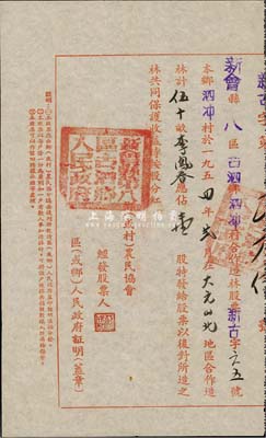 1954年新會縣八區(qū)古泗鄉(xiāng)泗沖村合作造林股票，合作造林50畝計壹股，此種農(nóng)民協(xié)會股票甚是特殊，八成新
