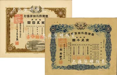 臺灣電力株式會社株券共2種不同，詳分：1919年棕色拾株券金五百圓、1941年藍色百株券金五千圓，均有水印，八至八五成新