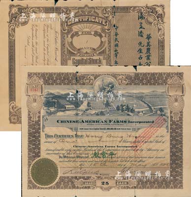 1920年華美農業公司股票，面額平常股壹股（計美金二十五圓），由廣東華僑在舊金山發行，背印中文，少見，有小破損，六成新