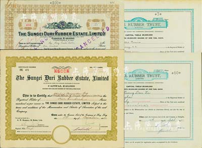老上海橡膠股票4種，詳分：Rubber Trust(橡膠信托)公司股票1931年3股、1941年60股(每股上海規銀1兩)，版式不同；Sungei Duri橡膠種植園公司1941年100股、1951年500股，圖案不同；此二公司在香港注冊，其股票均在上海發行，七至九成新