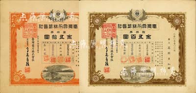 大正八年（1919年）臺灣電力株式會社株券2種，詳分：桔色壹株券金五拾圓、棕色拾株券金五百圓；臺灣藏家出品，有水印，八成新