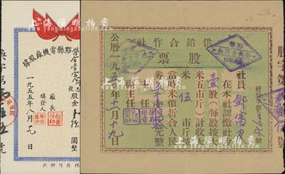 解放初期安徽黟縣老股票2種，詳分：1950年黟縣供銷合作社股票，壹股計收大米伍斤（按當時米價折合人民券五千壹佰四拾元）；1955年公私合營黟縣電機廠股據，面額股金壹拾圓；八五成新