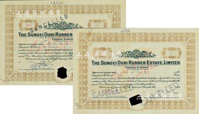 （上海）Sungei Duri橡膠種植園公司股票2種，詳分：1937年100股、1940年50股，均打孔注銷(xiāo)；該公司注冊(cè)于香港，其股票在上海發(fā)行；七成新