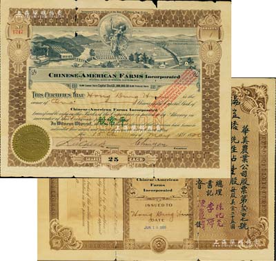 1920年華美農業公司股票，面額平常股壹股（計美金二十五圓），由廣東華僑在舊金山發行，背印中文，少見，有小破損，六成新