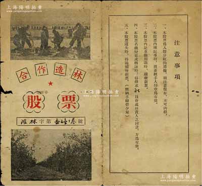 1952年（濱州黃河灘）合作造林股票，面額壹股，其上老照片圖頗具時代特色，近七成新
