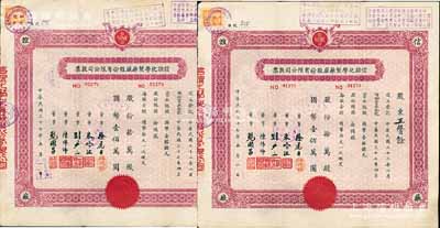 民國三十七年（1948年）改1953年信誼化學制藥廠股份有限公司股票共2枚連號，拾萬股計國幣壹佰萬圓，票上蓋有解放后資本調整之戳記，八五成新