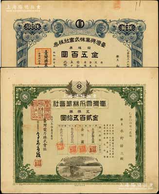 臺(tái)灣老股票2種，詳分：1919年臺(tái)灣電力株式會(huì)社，五株券金貳百五拾圓；1935年臺(tái)灣興業(yè)株式會(huì)社株券，拾株券金五百圓，上印臺(tái)灣寶島地圖；有水印，八成新