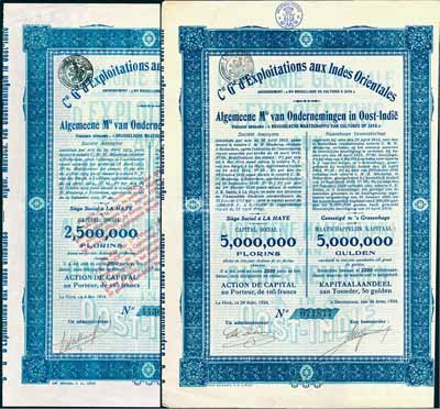 東印度種植公司股票共2種不同，詳分：1914年1股、1924年1股（每股50盾=105法郎），屬法荷合資在東南亞爪哇島橡膠種植園；該公司在史料中有記載，與當(dāng)年“橡皮股票風(fēng)潮”相關(guān)；海外藏家出品，少見(jiàn)，八成新