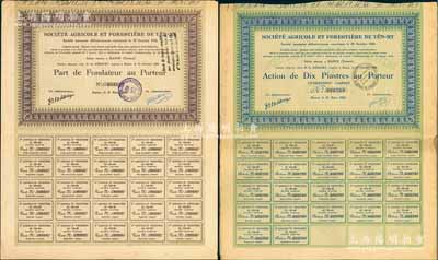 1928年安美農(nóng)業(yè)和林業(yè)公司股票共2種不同，分別為創(chuàng)始人優(yōu)先股1股、普通股1股（每股10元），其中1枚票上蓋有中文戳記，屬廣東華僑在法屬印度支那（即越南河內(nèi)）發(fā)行；法國著名藏家出品，少見，八成新