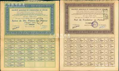 1928年安美農業和林業公司股票共2種不同，分別為創始人優先股1股、普通股1股（每股10元），其中1枚票上蓋有中文戳記，屬廣東華僑在法屬印度支那（即越南河內）發行；法國著名藏家出品，少見，八成新