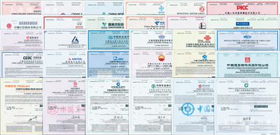2020年世界500強排名的中國公司股票共30種不同，內含：中國石化(第2名)、中國石油(第4名)、中國建筑(第18名)、中國平安保險(第21名)、中國工商銀行(第24名)、中國建設銀行(第30名)、中國農業銀行(第35名)、中國銀行(第43名)、中國人壽保險(第45名)、中國鐵建(第54名)、中國海洋石油(第64名)、中國移動(第65名)、中國交通建設(第78名)、東風汽車集