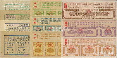 河北省僑匯券（實際屬天津票證，當(dāng)時天津為河北省會）共10種全套，詳分：1960年河北省華僑特種物資供應(yīng)證上半年、下半年4全（分別折合人民幣10元和20元）；河北省華僑特種物資供應(yīng)票3全（折合人民幣50、100、300元）；河北省華僑附加物資供應(yīng)票3全（折合人民幣50、100、250元）；此種全套者存世罕見，九五至全新