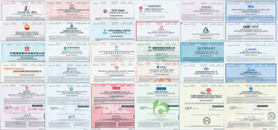 2020年世界500強排名的中國公司股票共30種不同，內含：中國石化(第2名)、中國石油(第4名)、中國建筑(第18名)、中國平安保險(第21名)、中國工商銀行(第24名)、中國建設銀行(第30名)、中國農業銀行(第35名)、中國銀行(第43名)、中國人壽保險(第45名)、中國鐵建(第54名)、中國海洋石油(第64名)、中國移動(第65名)、中國交通建設(第78名)、東風汽車集