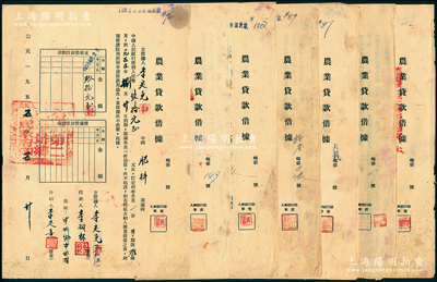 1954至1955年中國人民銀行“農業貸款借據”共17份不同，屬解放初期之扶貧貸款，其用途多為“缺少口糧”、“購買肥料”等情，且均蓋江西贛縣各鄉鎮人民政府官印，保存尚佳，敬請預覽